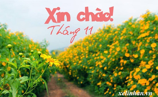 5 Điểm Du Lịch Nhất Định Phải Đến Trong Tháng 11 Này (P1)